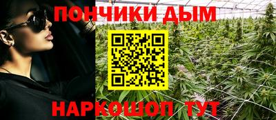 apvp Кунгур