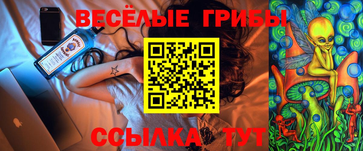 Псилоцибиновые грибы GOLDEN TEACHER Гулькевичи
