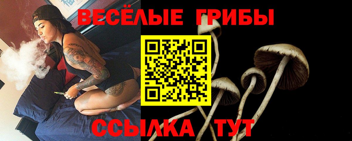 Меф мяу мяу Гулькевичи