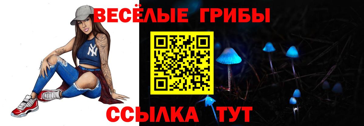 Гулькевичи  Галлюциногенные грибы Cubensis  Вход с VPN  Псилоцибиновые грибы Psilocybe 